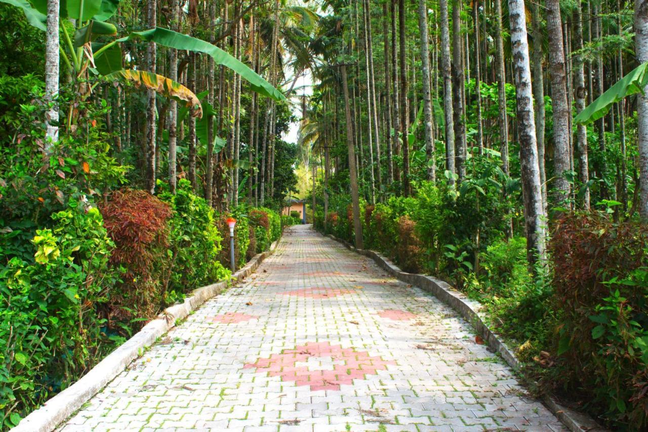 STAYMAKER Coorg Anekad Jungle Stay Resort Kushālnagar Exterior foto